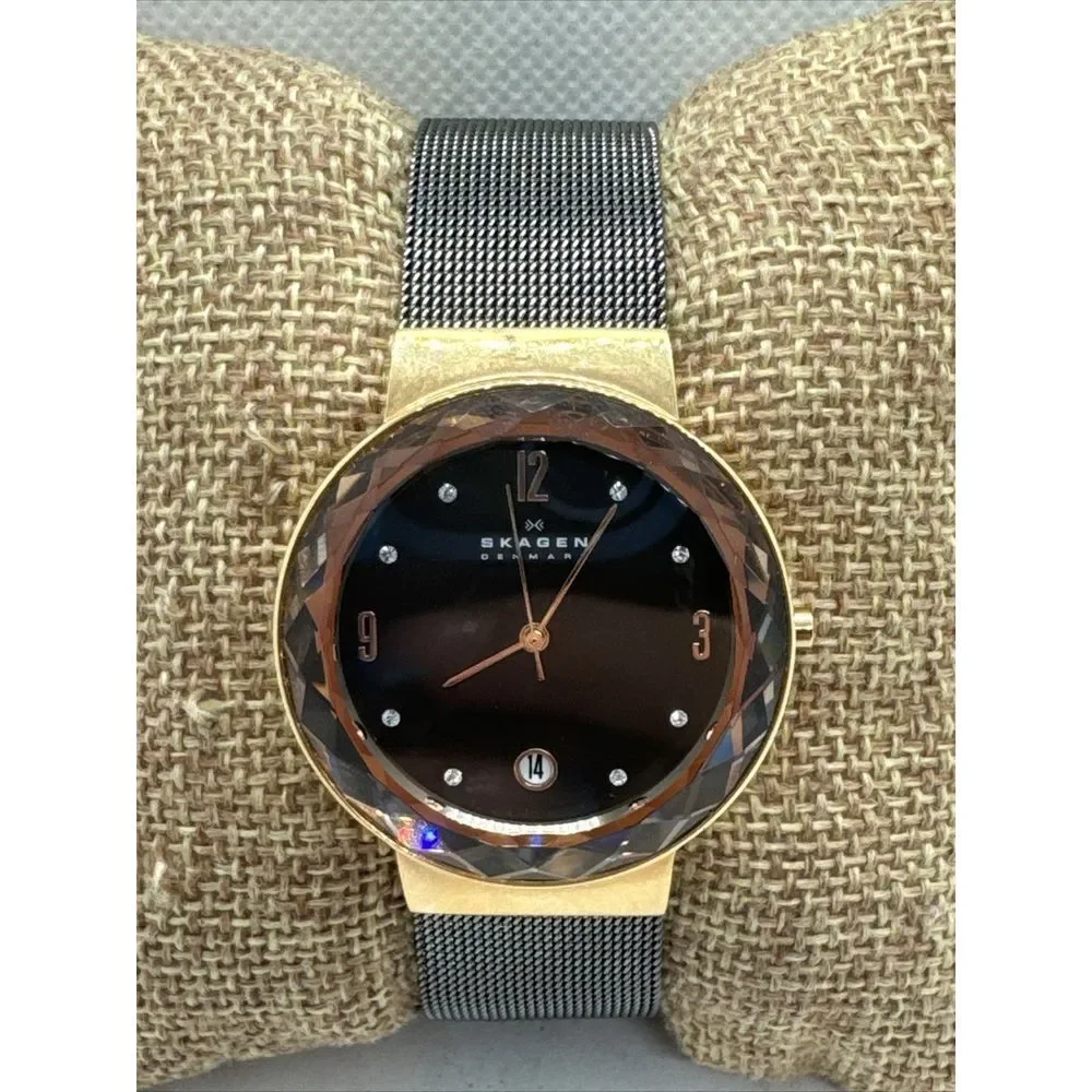 Skagen SKW2120 Women's Gray Stainless Steel Mesh Analog Dial Quartz Watch JNA916